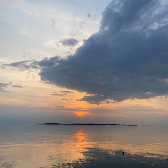 lynn_longo